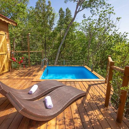 Au Jardin Des Colibris Ecolodge&Spa Deshaies Exterior foto