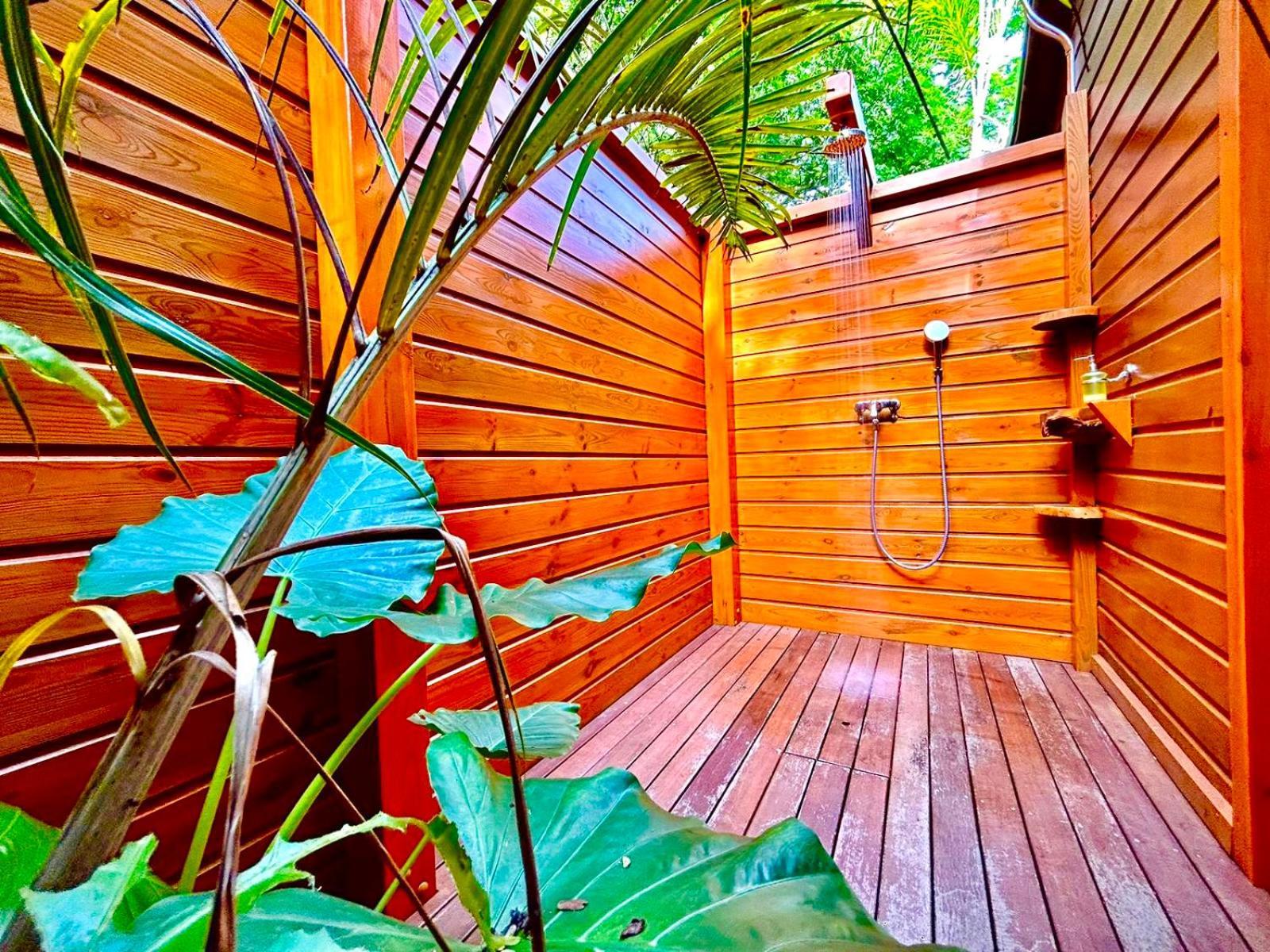 Au Jardin Des Colibris Ecolodge&Spa Deshaies Exterior foto